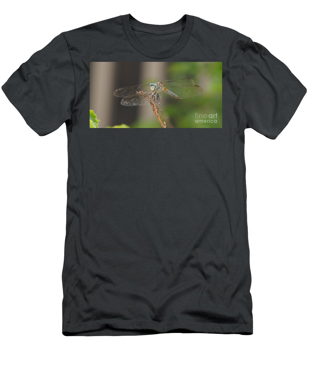 Dragonfly T-Shirt featuring the photograph Dragonfly by Megan Cohen