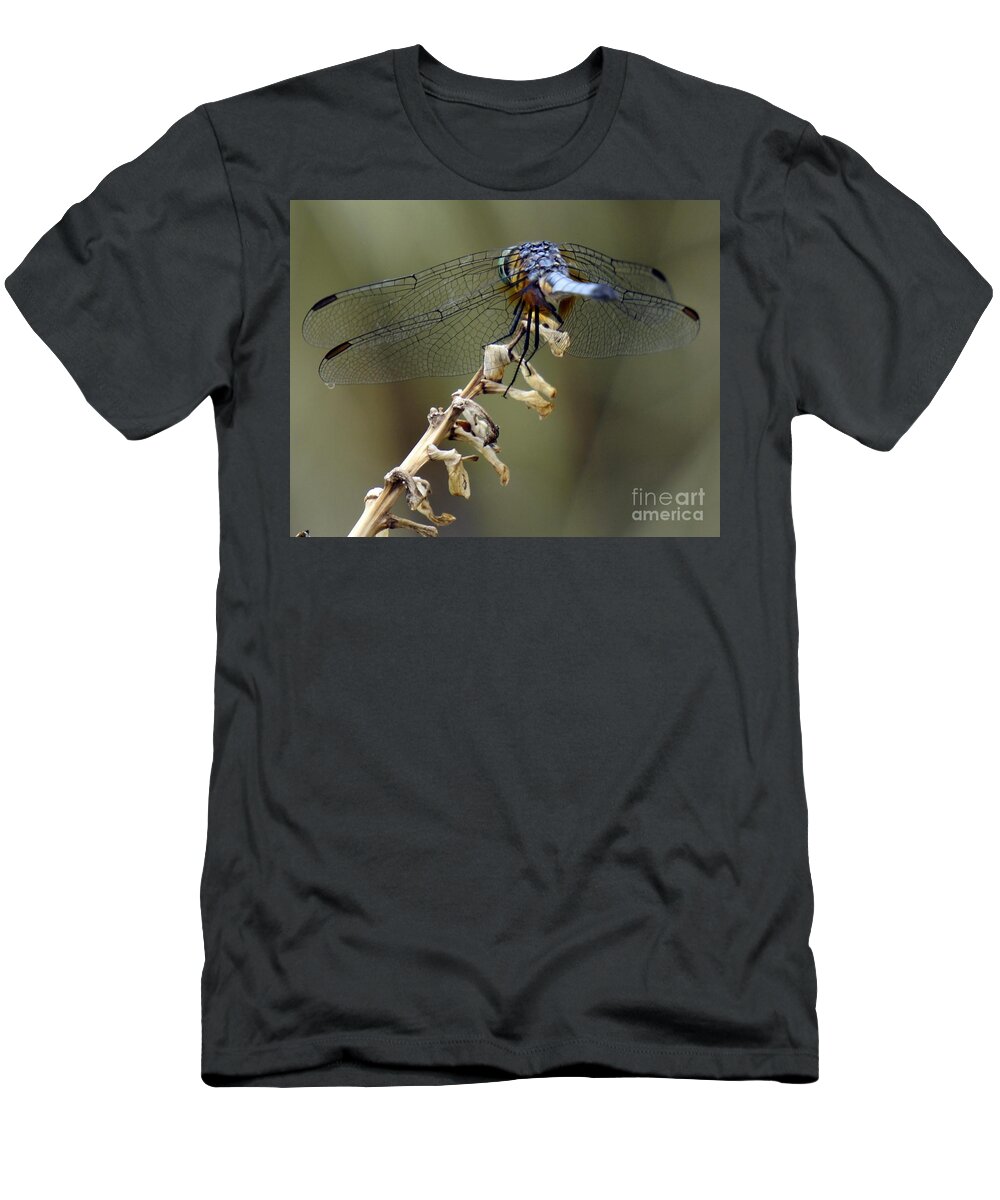 Dragonfly Wings T-Shirt featuring the photograph Dragonfly Wing Details by Lilliana Mendez