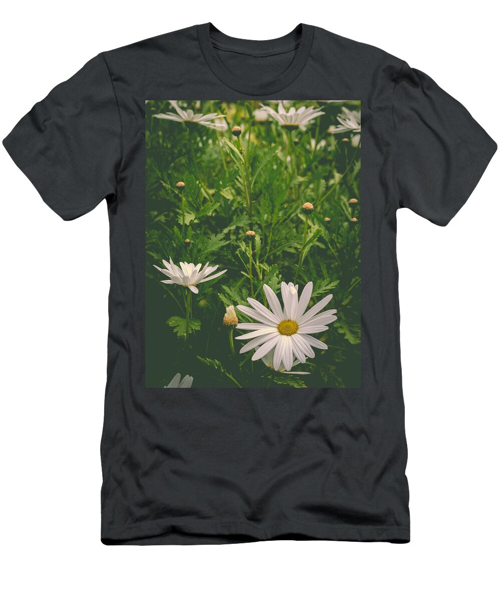 Daisy T-Shirt featuring the photograph Dreaming Of Daisies by Marco Oliveira