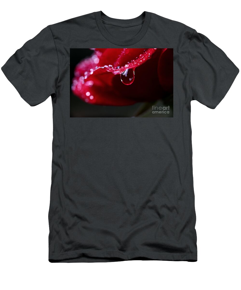 Rose Flower T-Shirt featuring the photograph Dreams On The Edge by Michael Eingle