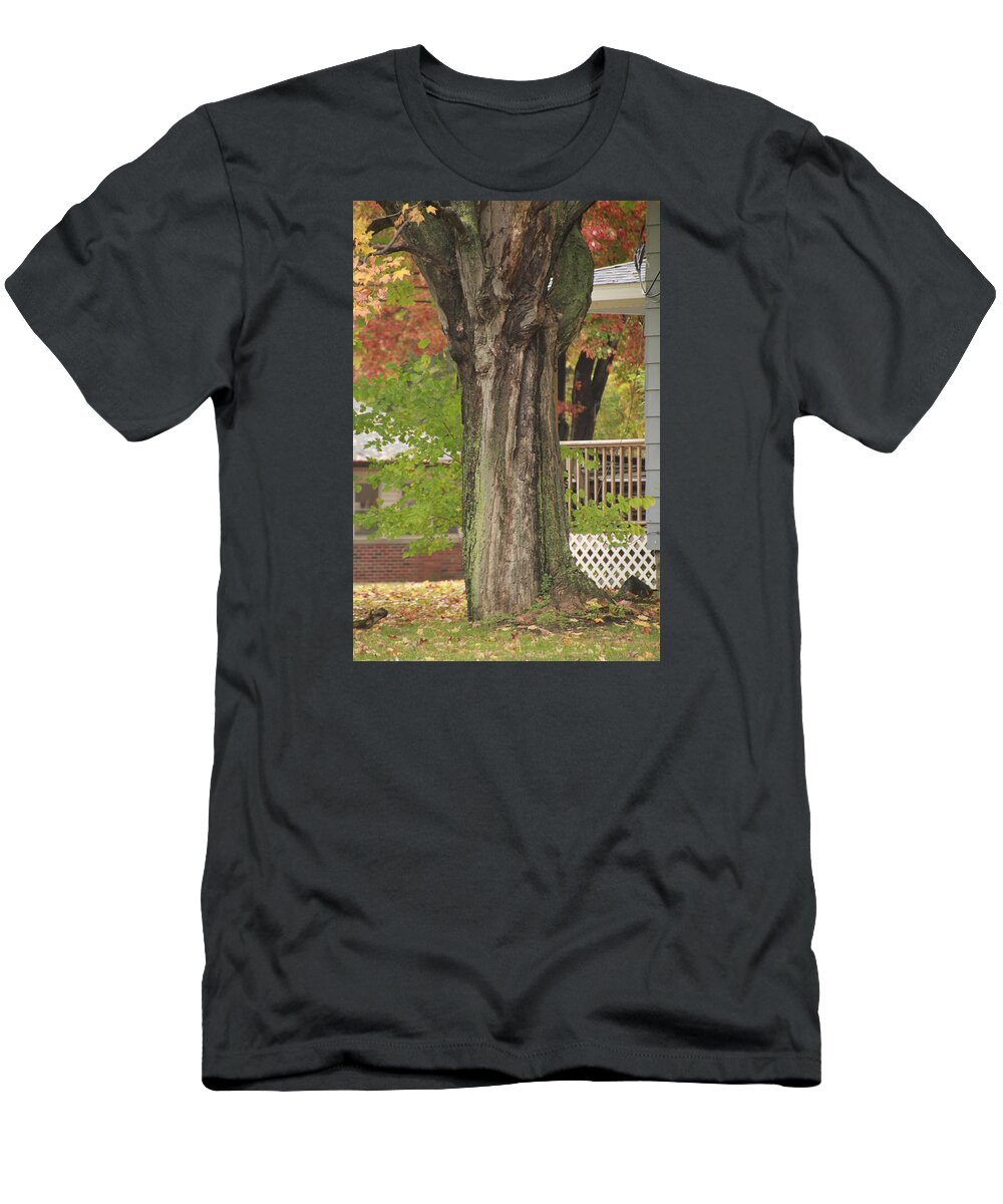 Fall T-Shirt featuring the photograph Old Maple Tree Dressed for Fall by Valerie Collins