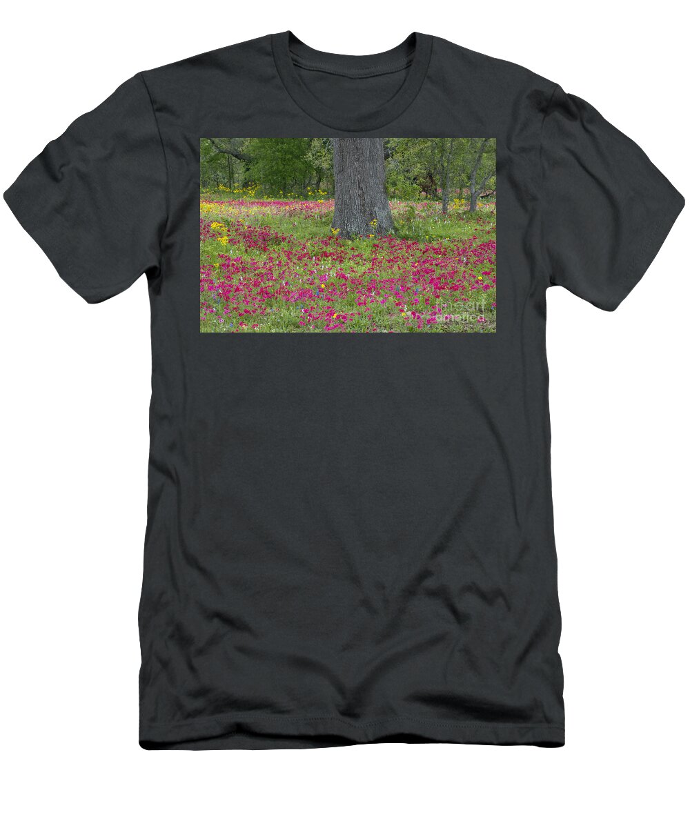 Landscape; Texas; Wildflowers; Crown Tickweed; Drummonds Phlox; Red; Oak Tree; North America; Dave Welling; Photograph; Spring; Fresh; Flowers;landscape; Nature; Scenic; Flora; Native Plants T-Shirt featuring the photograph Drummonds Phlox and Crown Tickweed Central Texas by Dave Welling