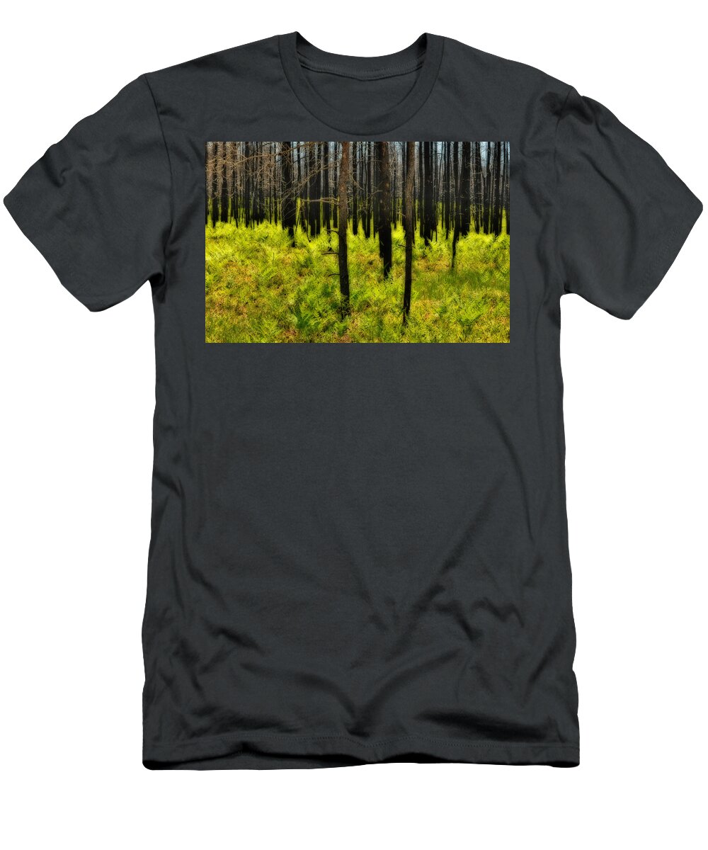 Upper Peninsula T-Shirt featuring the photograph Duck Lake Fire Regrowth by Kathryn Lund Johnson