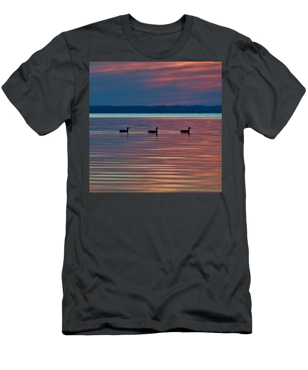 Beach Bum Pics T-Shirt featuring the photograph Ducks in a Row by Billy Beck