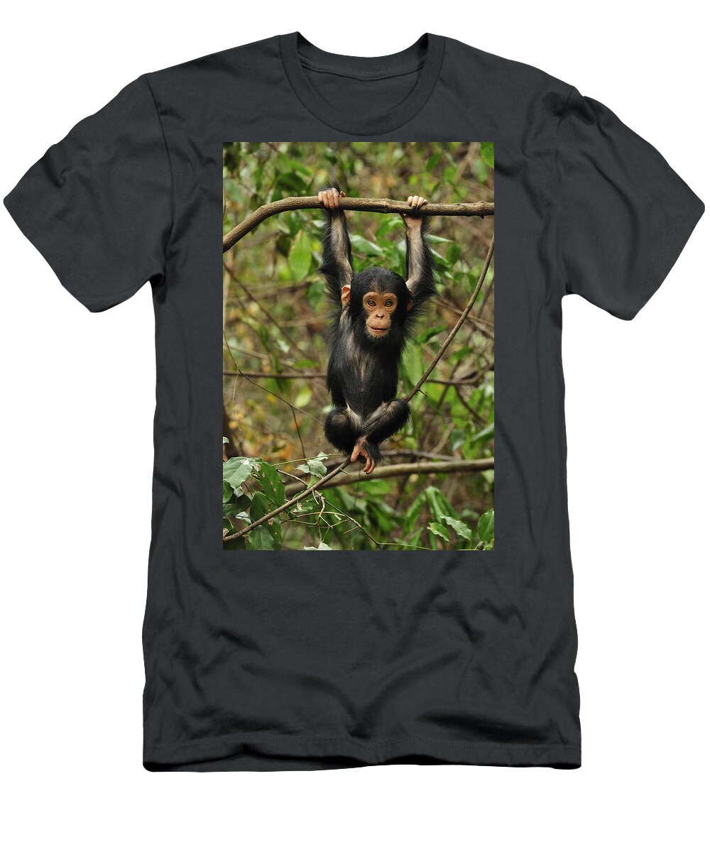 Thomas Marent T-Shirt featuring the photograph Eastern Chimpanzee Baby Hanging by Thomas Marent