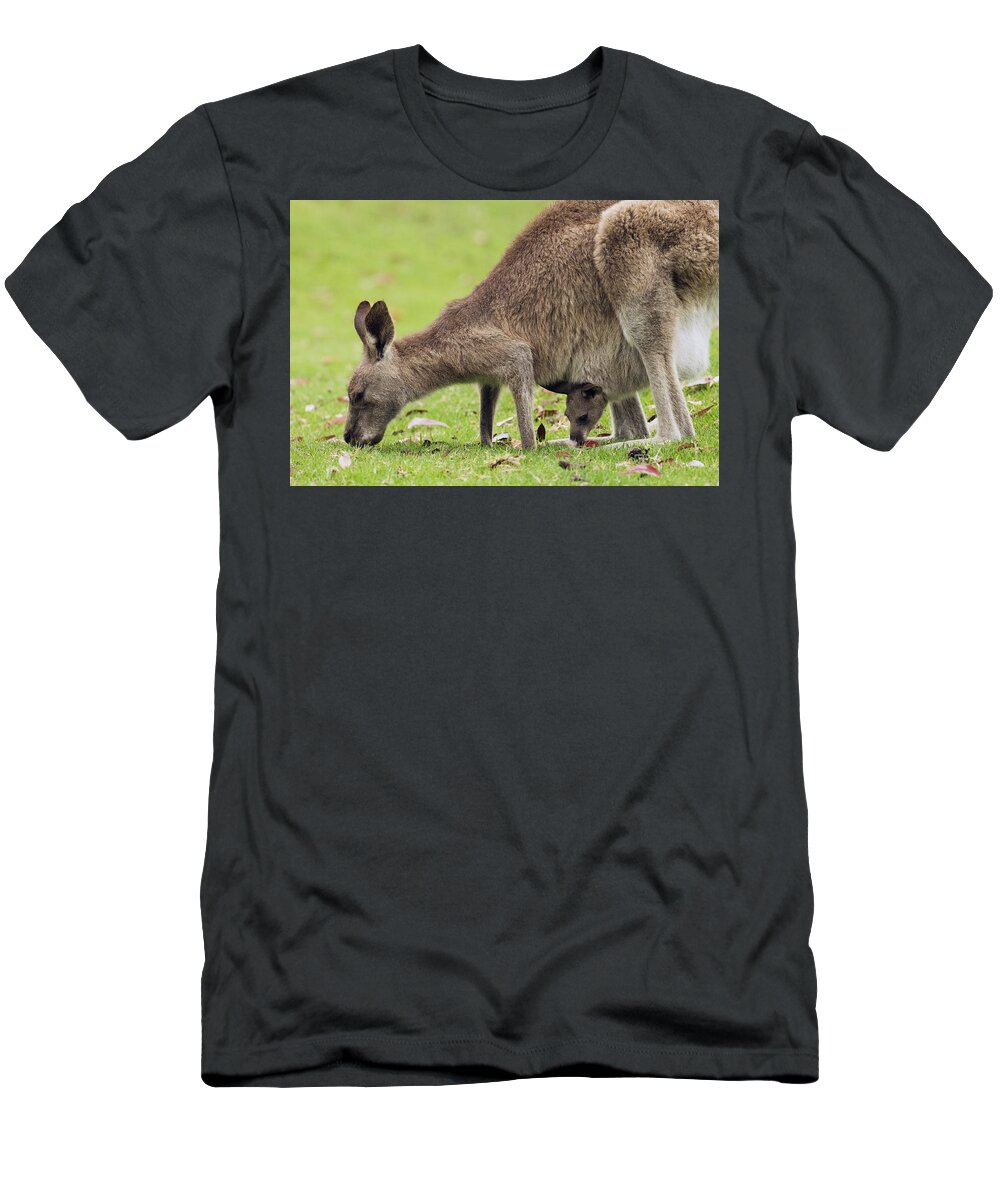 Sebastian Kennerknecht T-Shirt featuring the photograph Eastern Grey Kangaroo And Joey In Pouch by Sebastian Kennerknecht
