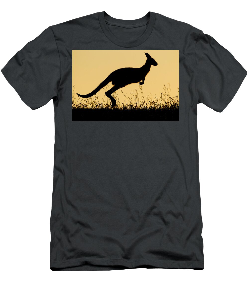 Sebastian Kennerknecht T-Shirt featuring the photograph Eastern Grey Kangaroo Hopping At Sunset by Sebastian Kennerknecht