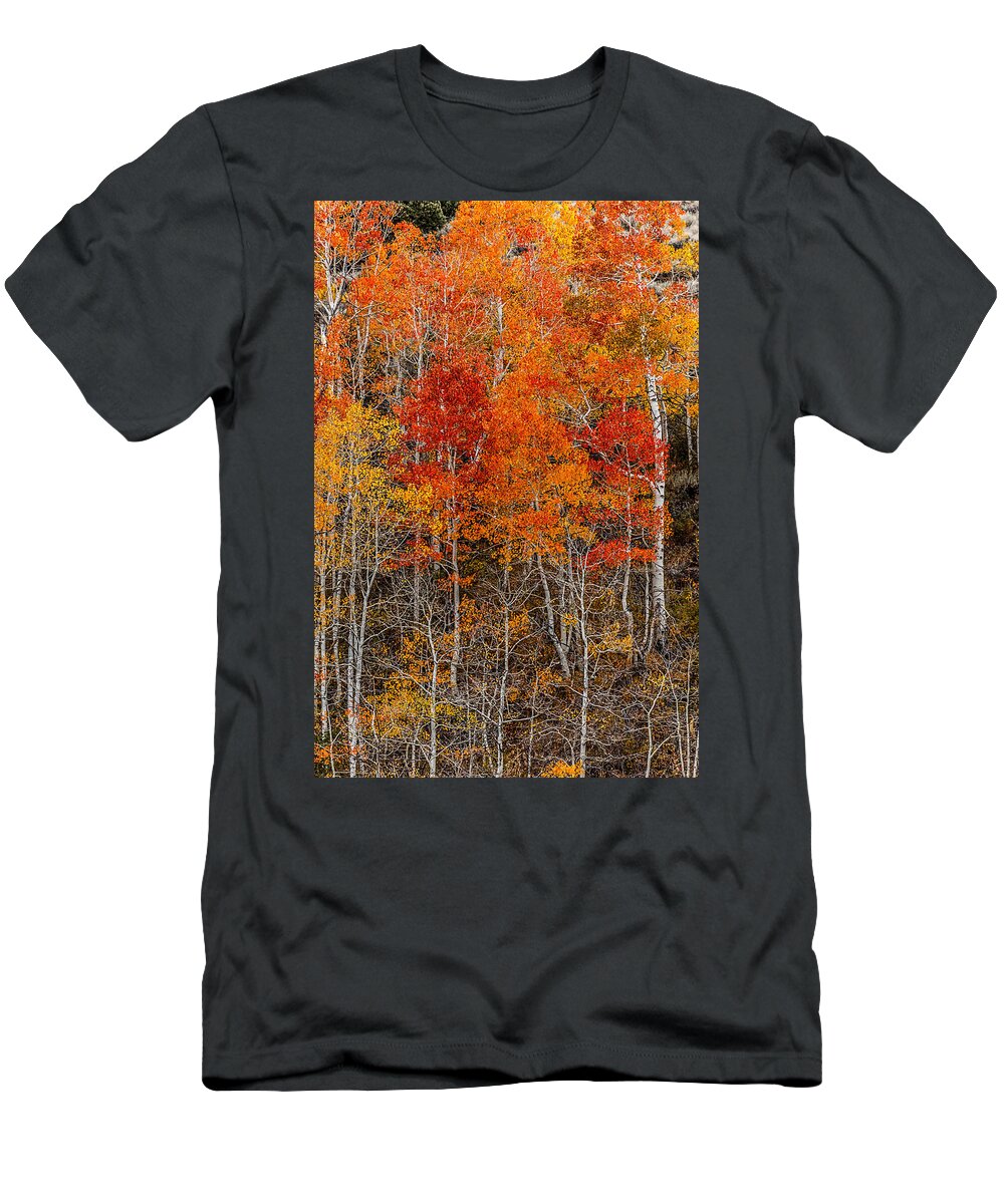 Eastern Sierra Fall T-Shirt featuring the photograph Eastern Sierra Fall by Wes and Dotty Weber