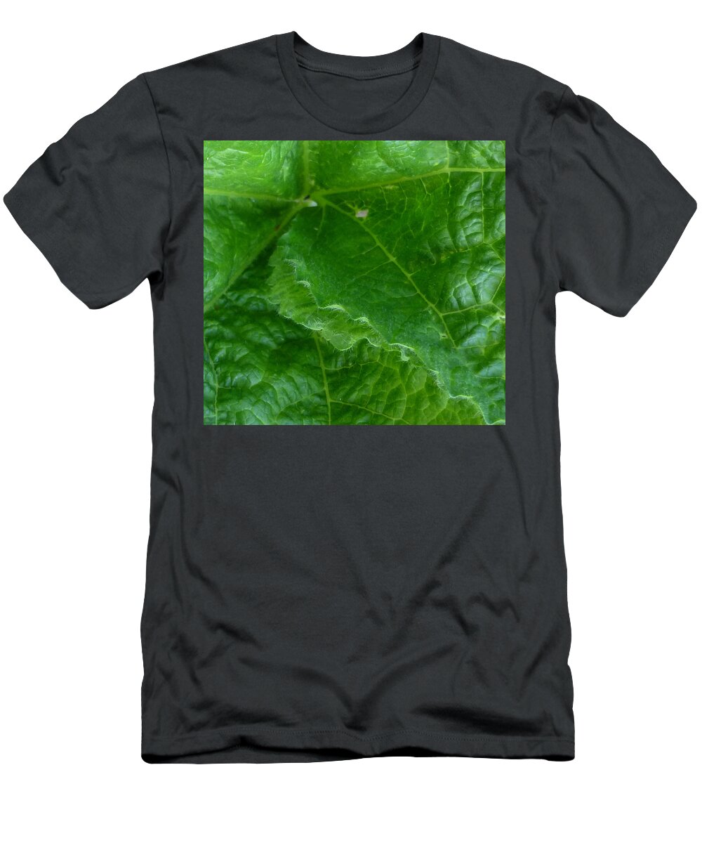 Leaf T-Shirt featuring the photograph Edgy by Claudia Goodell