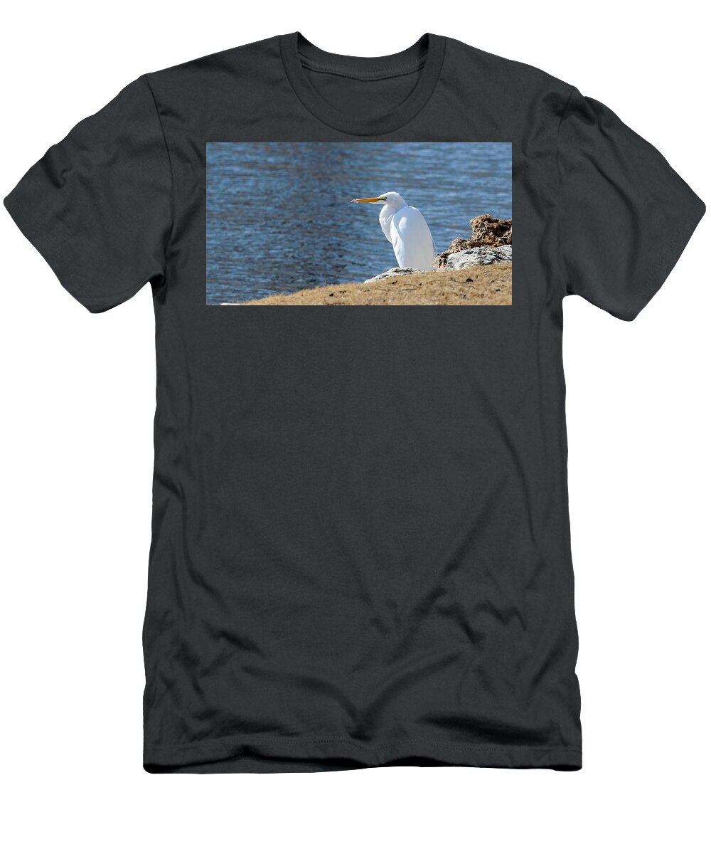 Egret T-Shirt featuring the photograph Egret by John Johnson