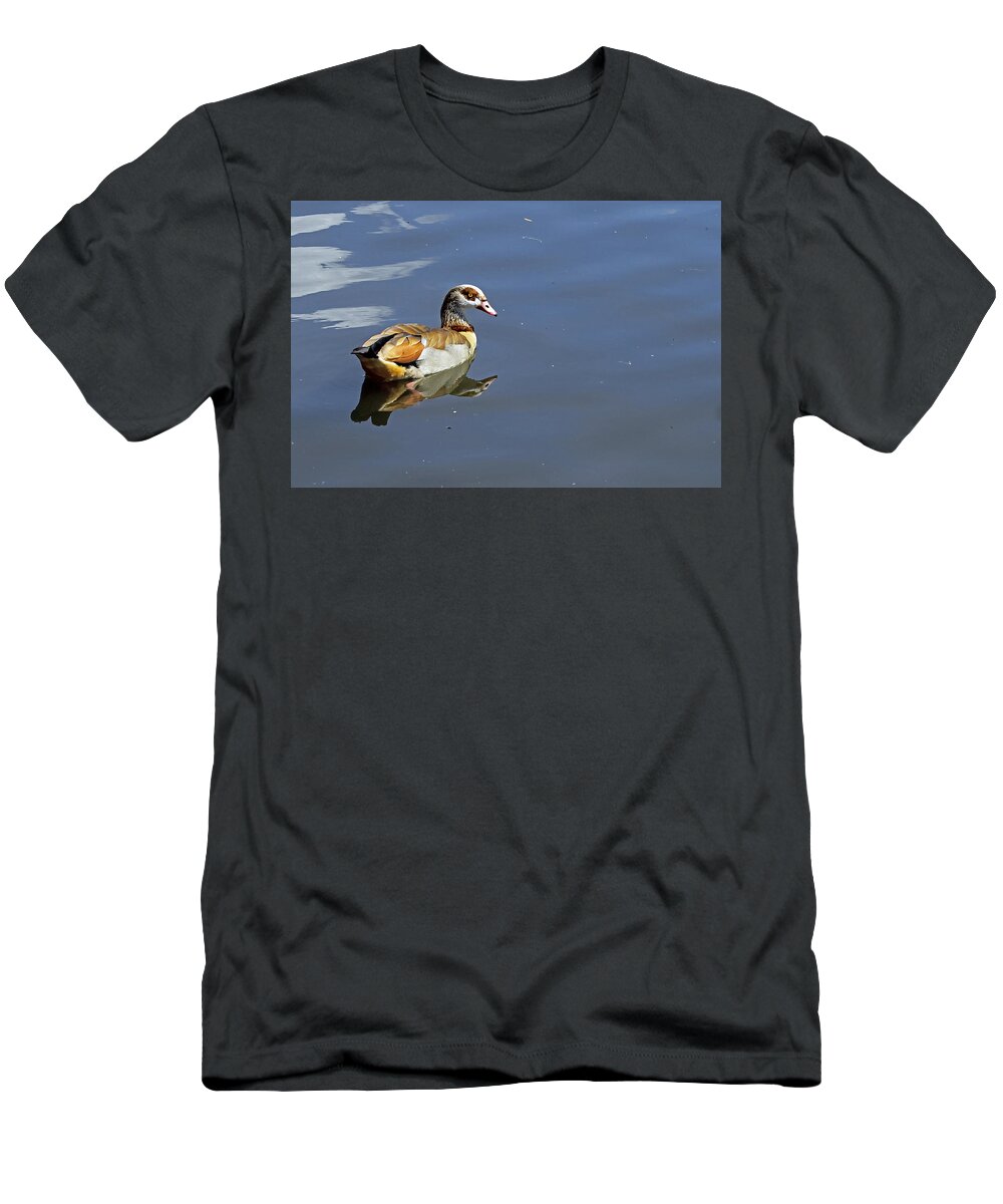 Birds T-Shirt featuring the photograph Egyptian Goose by Tony Murtagh