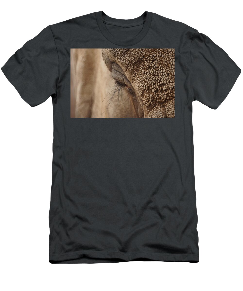 Animals T-Shirt featuring the photograph Elephant Lashes by Ernest Echols