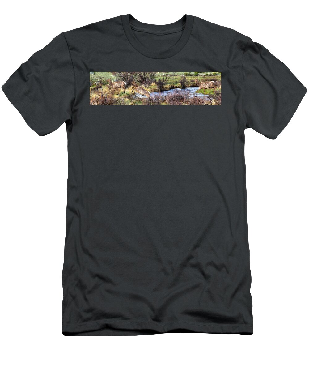 Elk T-Shirt featuring the photograph Elk In Motion by Shane Bechler