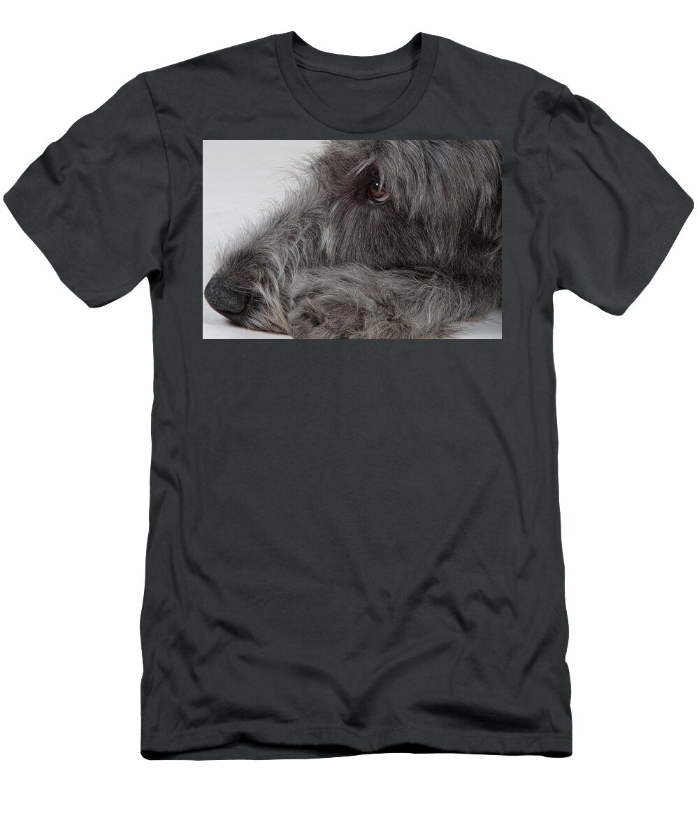 Irish Wolfhound T-Shirt featuring the photograph Irish Wolfhound I by Agustin Uzarraga