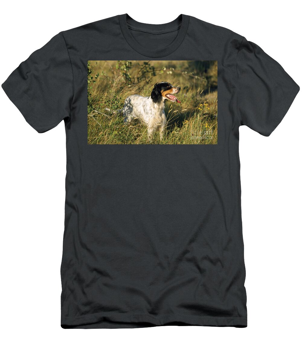 English Setter T-Shirt featuring the photograph English Setter Dog by M. Watson