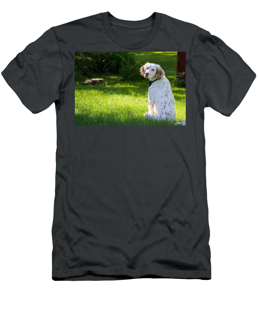 English Setter T-Shirt featuring the photograph English Setter in the Grass by Brian Caldwell