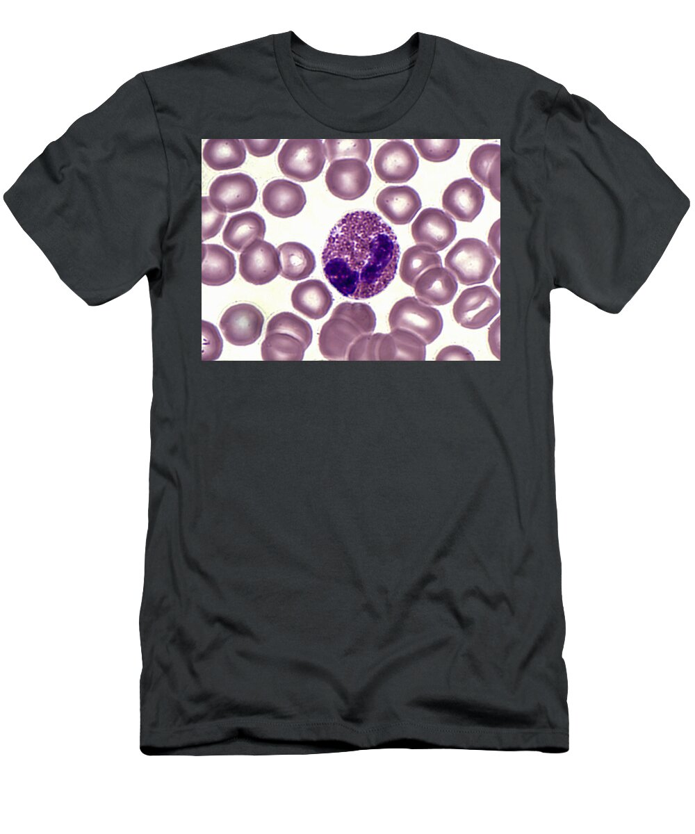 Eosinophil And Erythrocytes T-Shirt featuring the photograph Eosinophil And Erythrocytes Lm by Alvin Telser