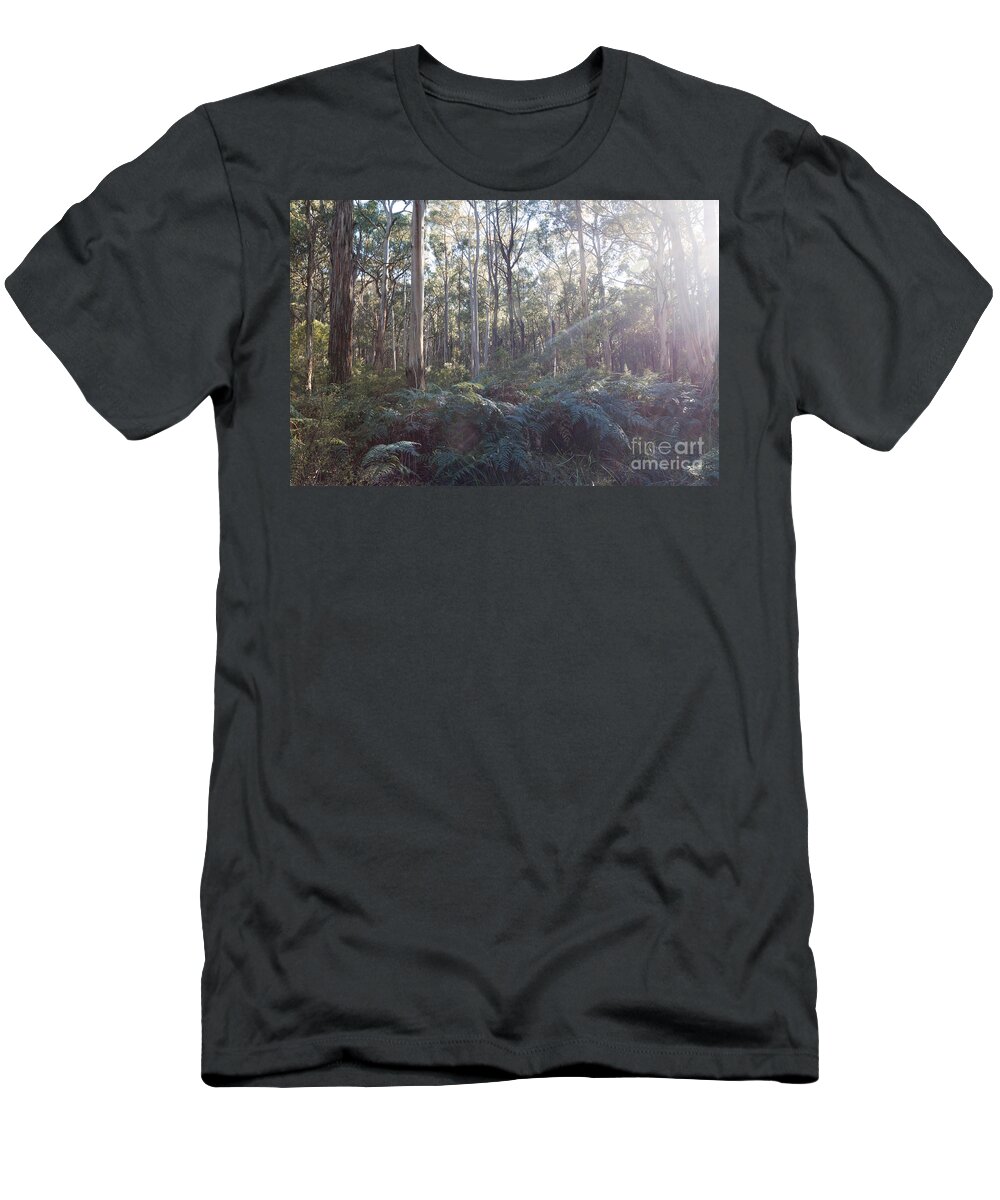 Landscape T-Shirt featuring the photograph Eucalyptus forest in Victoria Australia by Matteo Colombo
