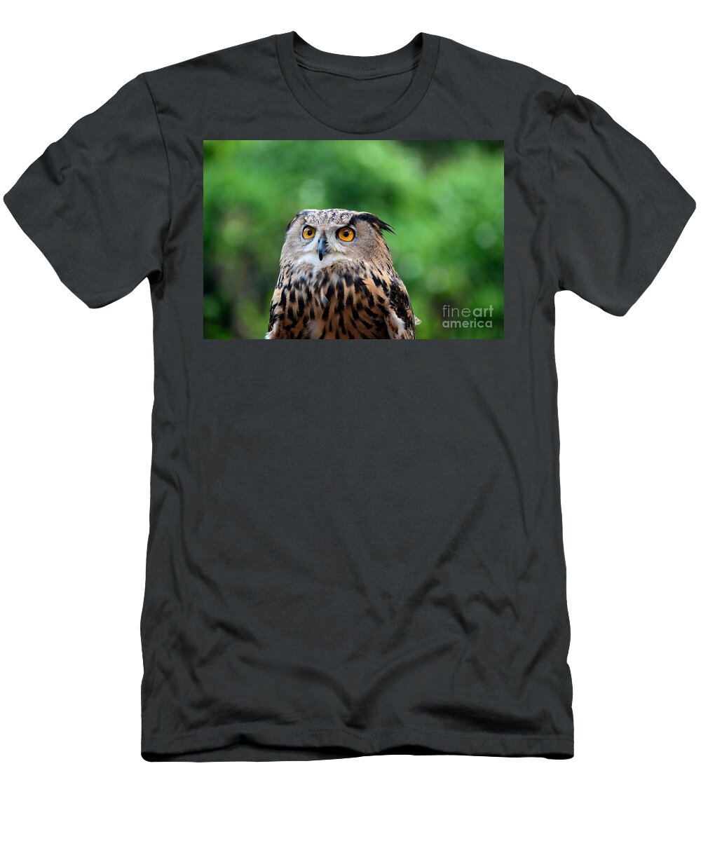 Owl T-Shirt featuring the photograph Eurasian or European Eagle owl bubo bubo stares intently by Imran Ahmed
