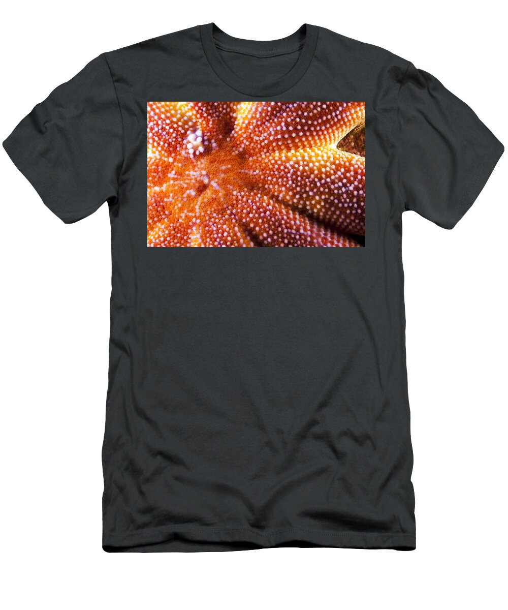 Nis T-Shirt featuring the photograph European Starfish Mouth Shetland by Matt Doggett
