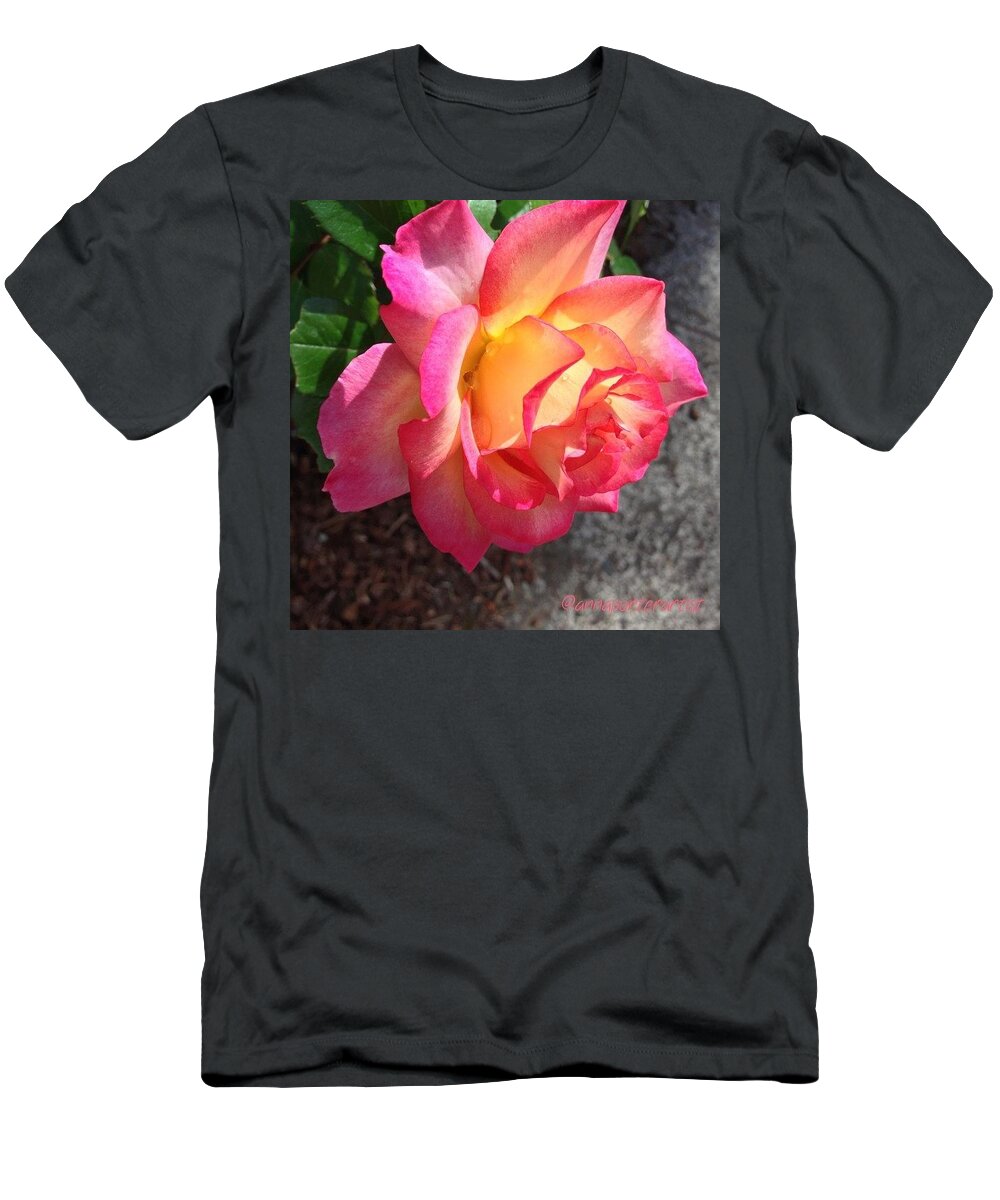 Evening Rose With Droplets T-Shirt featuring the photograph Evening Rose With Droplets by Anna Porter