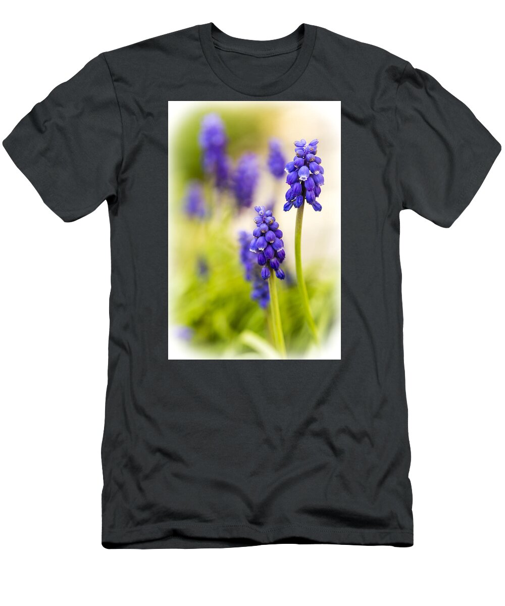Grape Hyacinth T-Shirt featuring the photograph Fading by Caitlyn Grasso