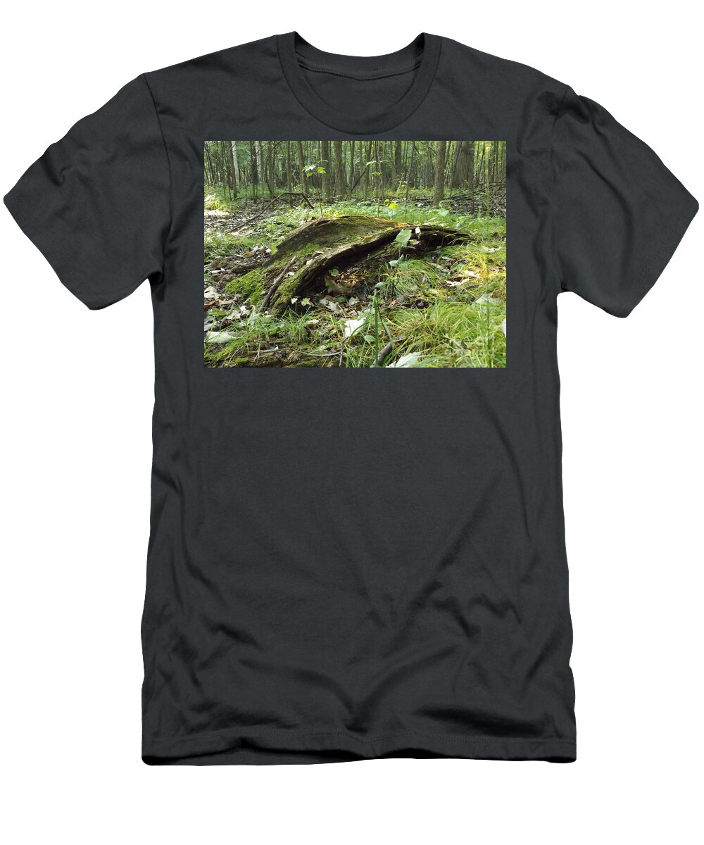 Nature T-Shirt featuring the photograph Fairy Bridge by Erick Schmidt