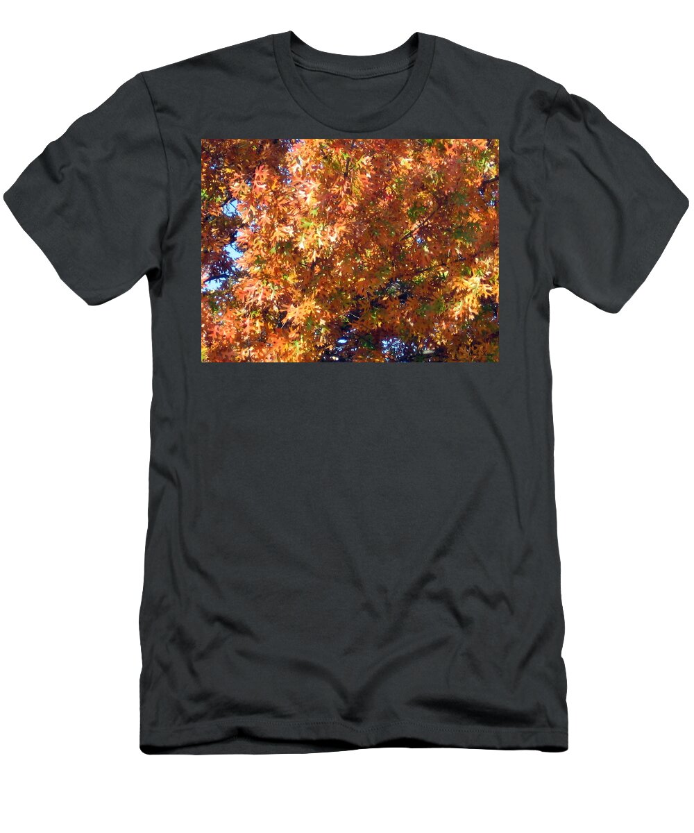 Tree T-Shirt featuring the photograph Fall by Amy Hosp
