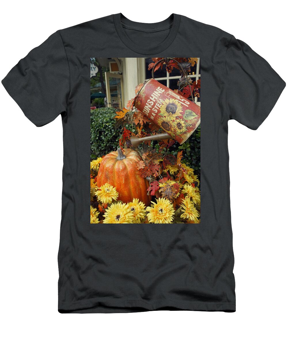 Fall T-Shirt featuring the photograph Fall Beauty by Laurie Perry