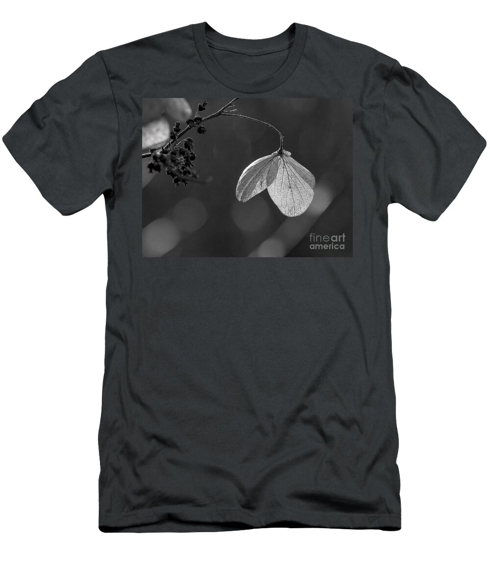 Arboretum T-Shirt featuring the photograph Hydrangea Flower UW Arboretum Madison Wisconsin by Steven Ralser