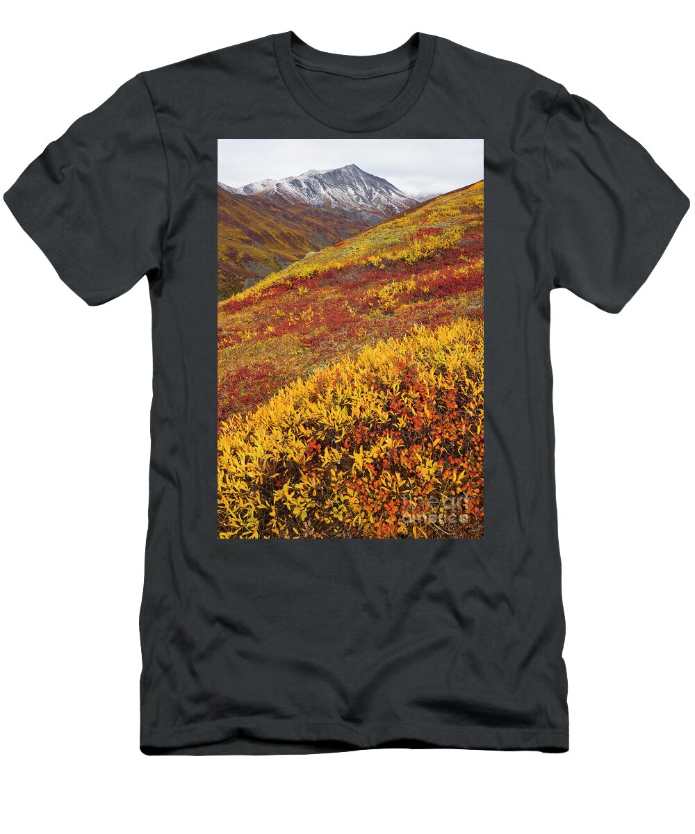 00345445 T-Shirt featuring the photograph Fall Tundra And First Snow by Yva Momatiuk John Eastcott