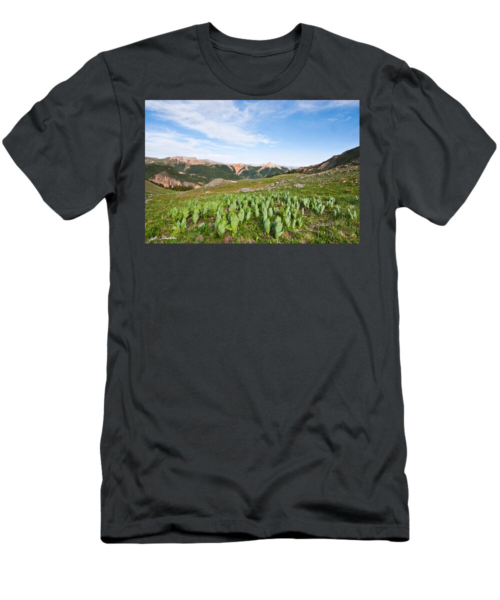 Barren T-Shirt featuring the photograph False Hellebore in the Evening Light by Jeff Goulden