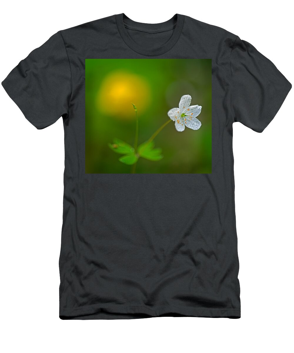 2011 T-Shirt featuring the photograph False Rue Anemone by Robert Charity