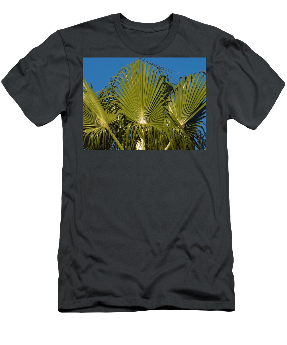 California T-Shirt featuring the photograph Fan Palm by Steve Ondrus