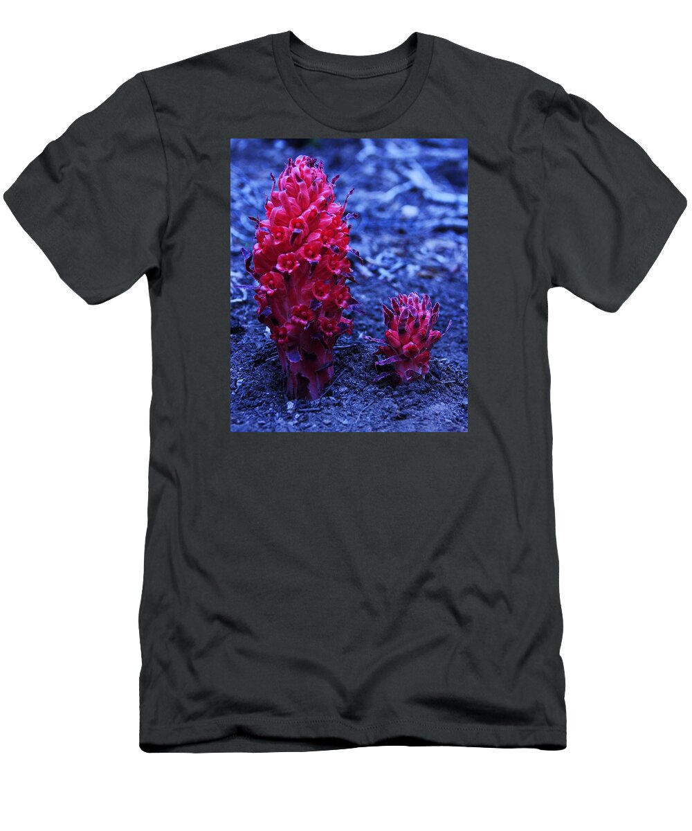 Lake Tahoe T-Shirt featuring the photograph Father and Son by Sean Sarsfield
