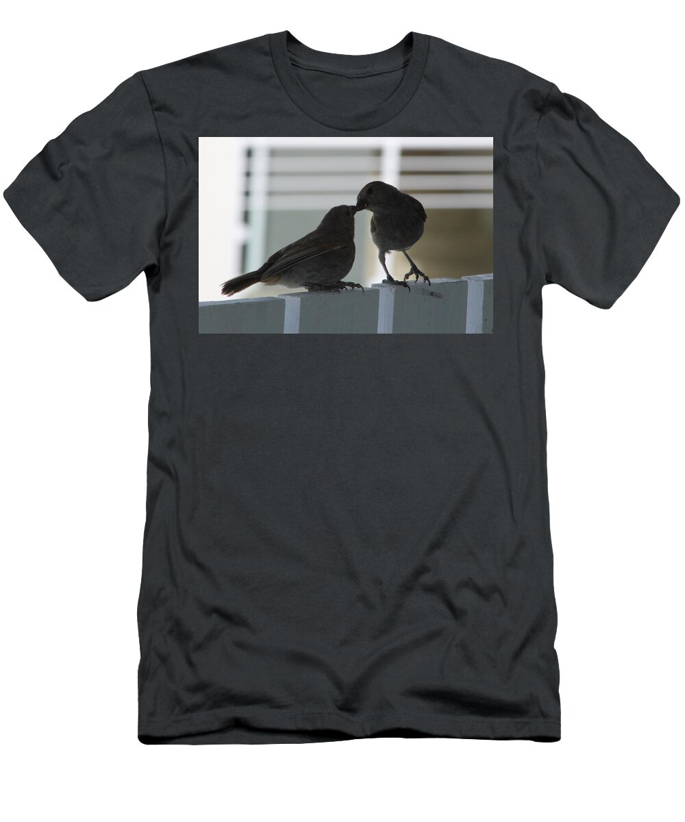 Birds T-Shirt featuring the photograph Feed Me by Catie Canetti