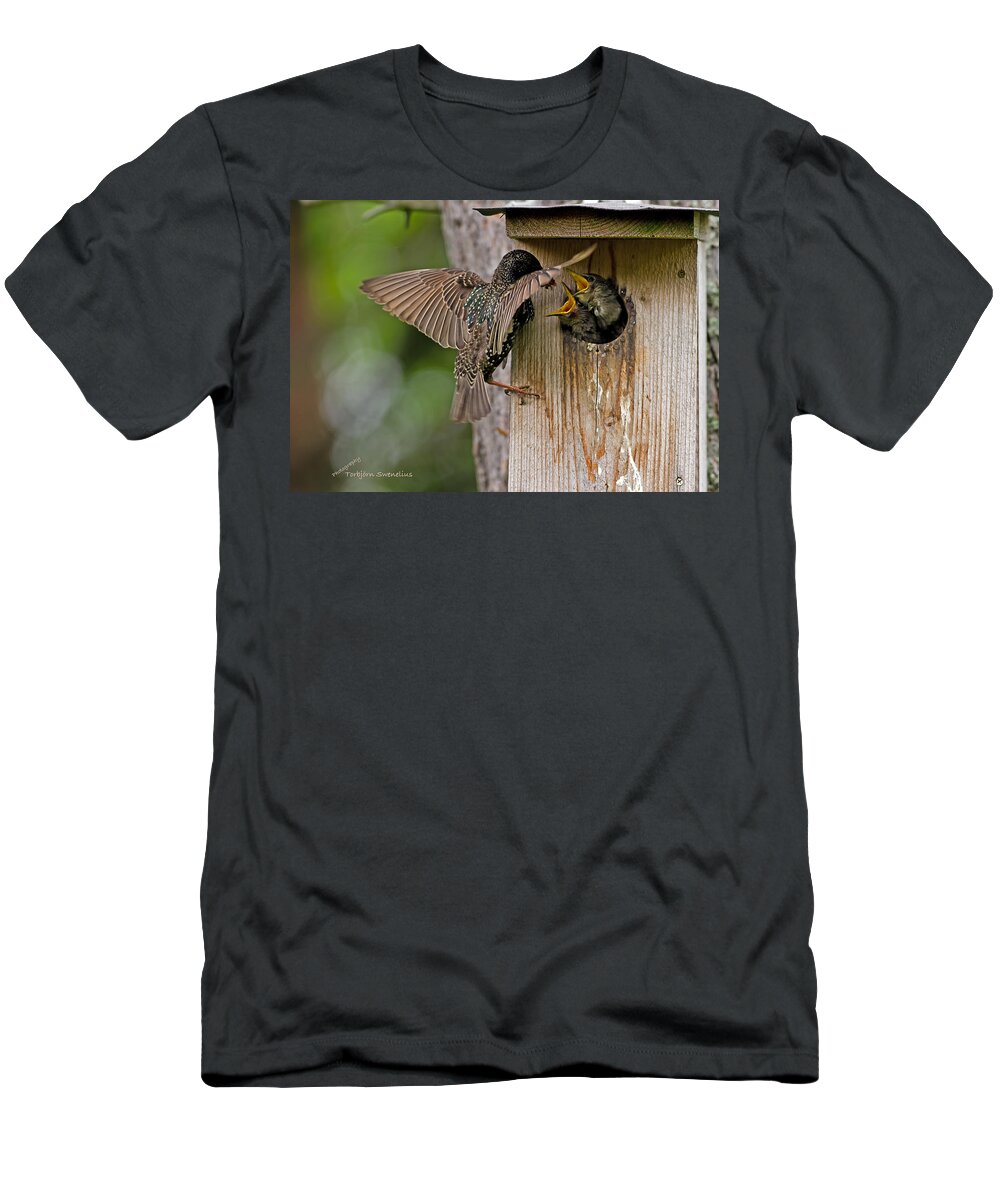 Feeding Starlings T-Shirt featuring the photograph Feeding Starlings by Torbjorn Swenelius