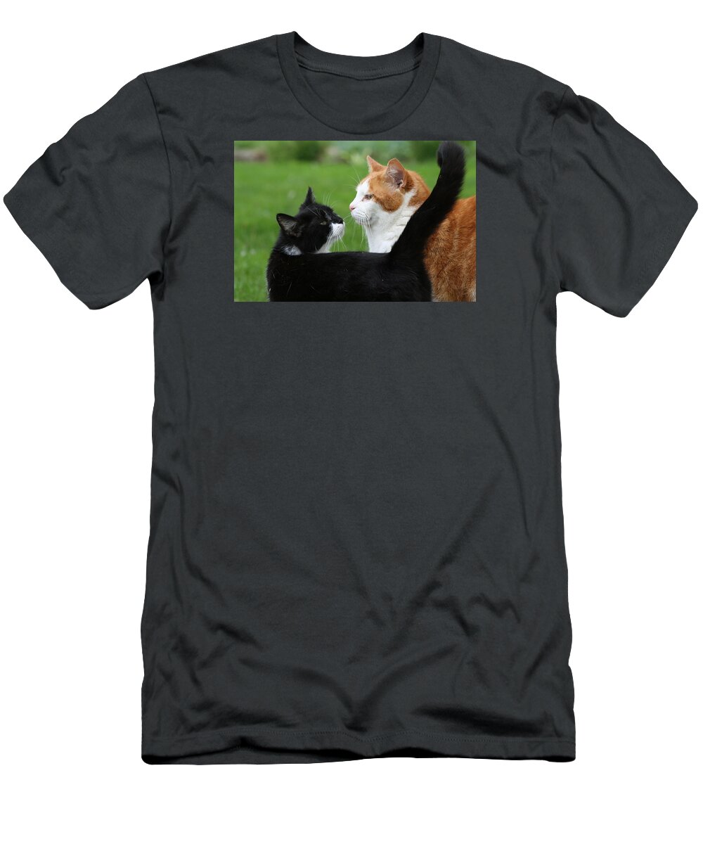 Feline T-Shirt featuring the photograph Feline Friends by Valerie Collins