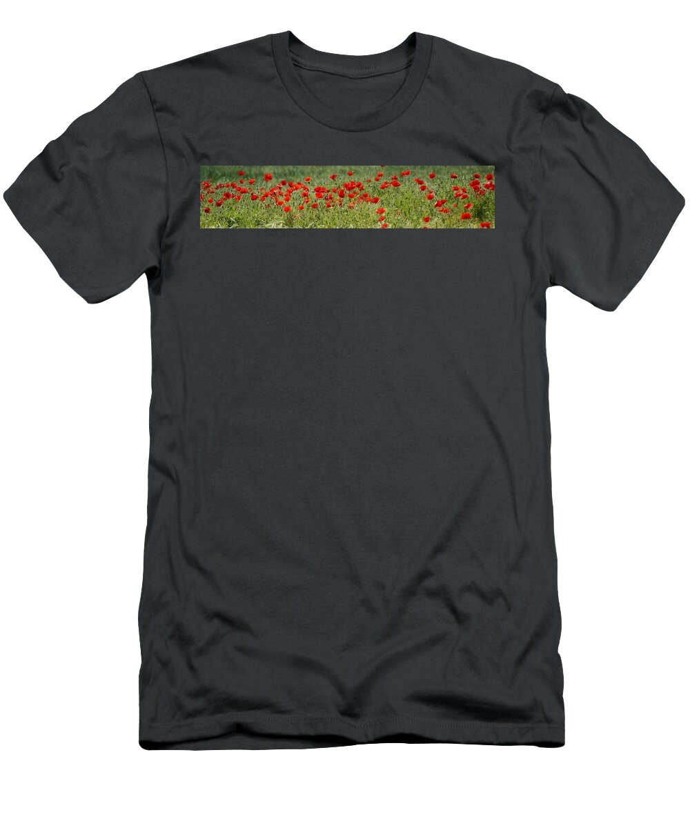 Poppies T-Shirt featuring the photograph Field of poppies by Carol Lynch