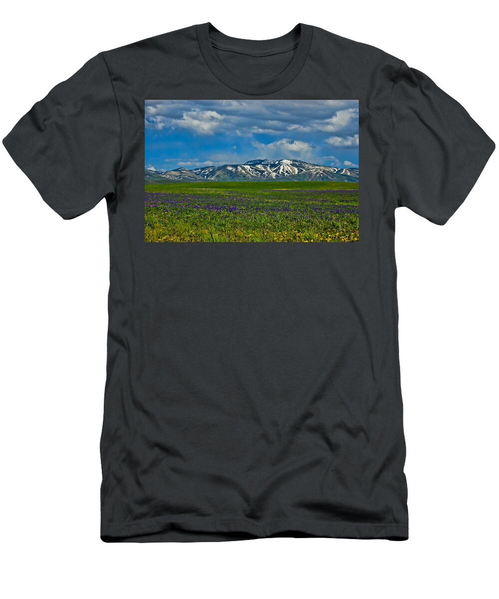 Wildflowers T-Shirt featuring the photograph Field of Wildflowers by Don Schwartz