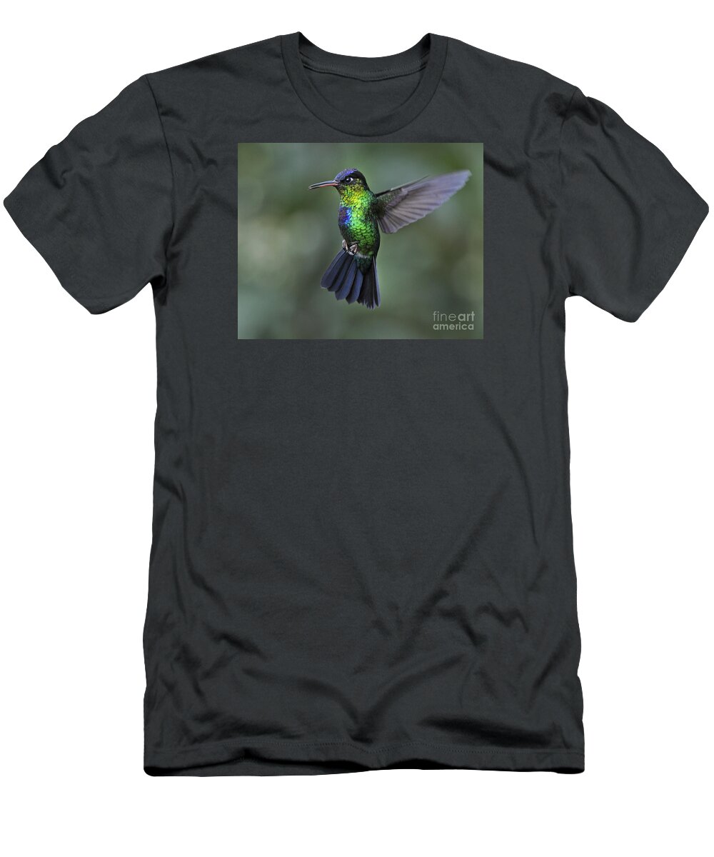 Fiery-throated Hummingbird T-Shirt featuring the photograph Fiery-throated Hummingbird.. by Nina Stavlund