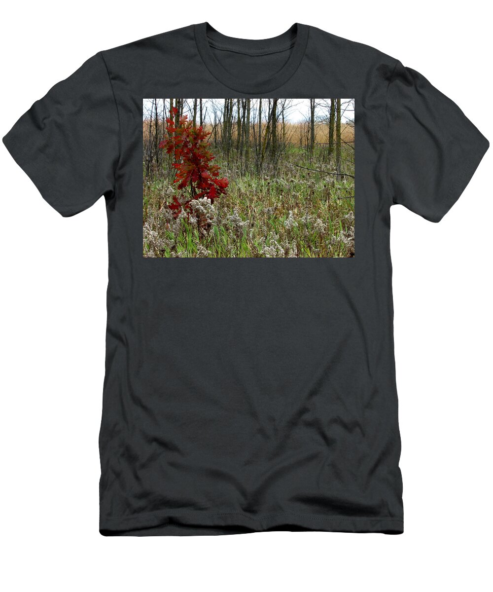 Tree T-Shirt featuring the photograph First Autumn II by Kimberly Mackowski
