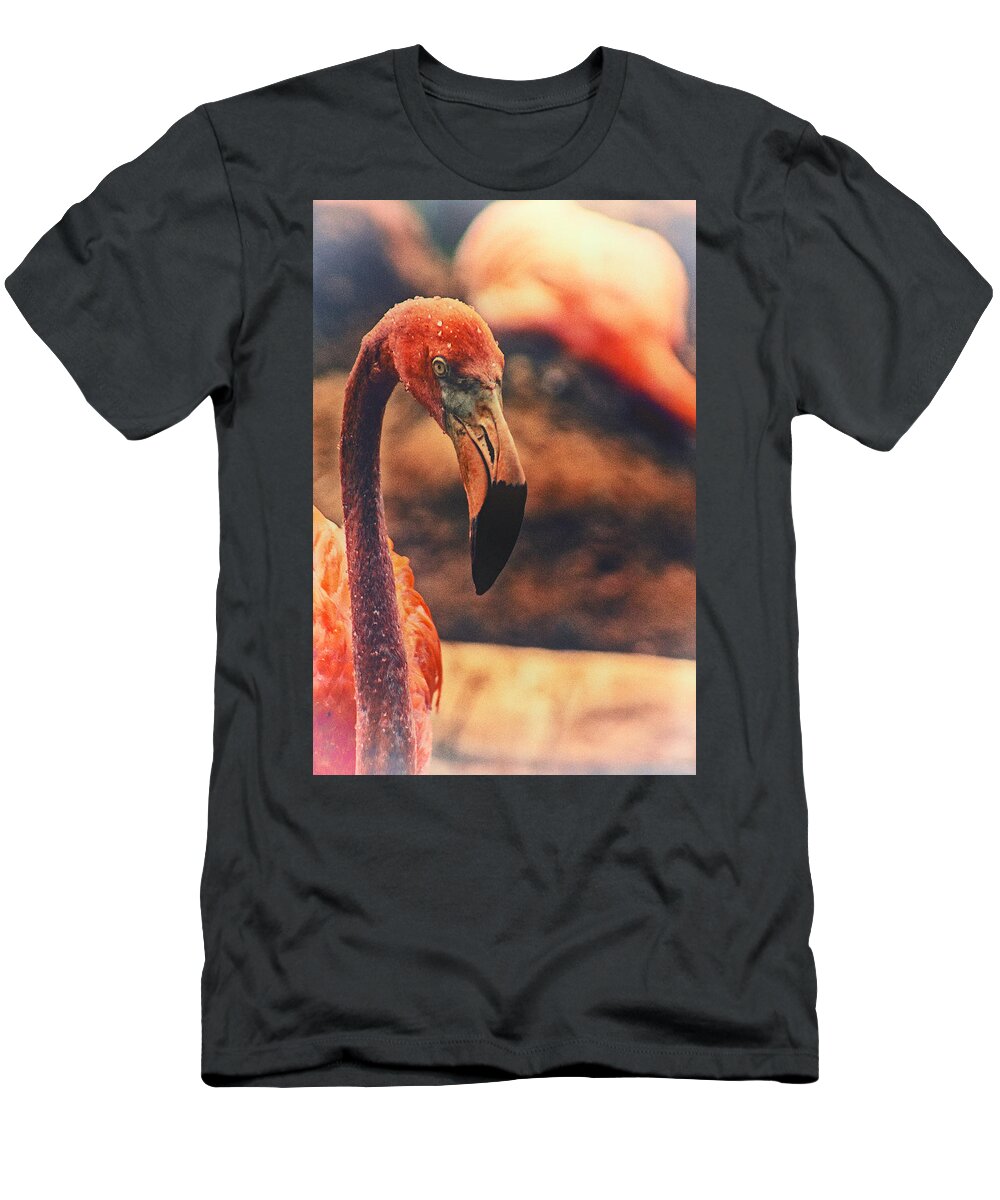 Flamingo T-Shirt featuring the photograph Flamingo by Karol Livote
