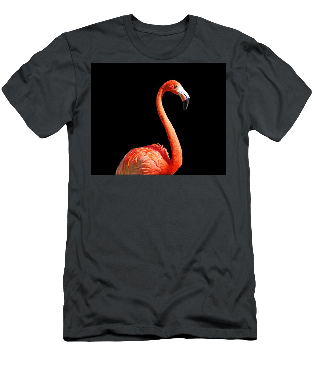 Flamingo T-Shirt featuring the photograph Flamingo Portrait by Aimee L Maher ALM GALLERY