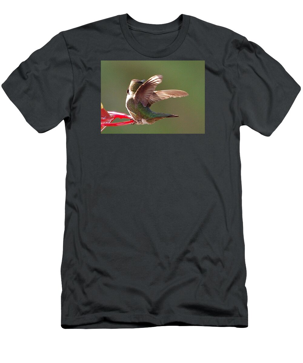 Linda Brody T-Shirt featuring the photograph Flexible by Linda Brody