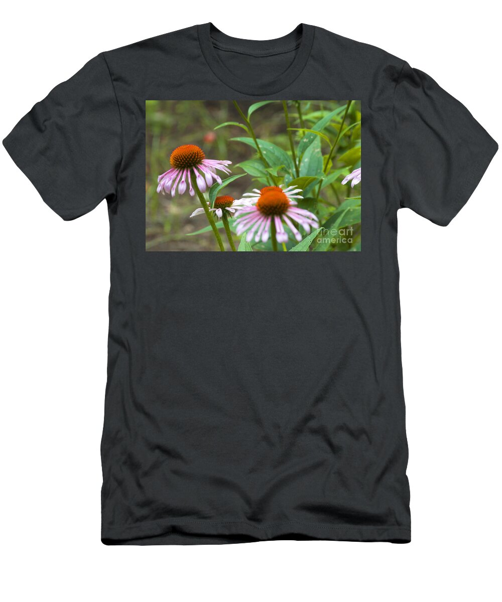 Austin Texas T-Shirt featuring the photograph Flower - Cone Flower- Luther Fine Art by Luther Fine Art
