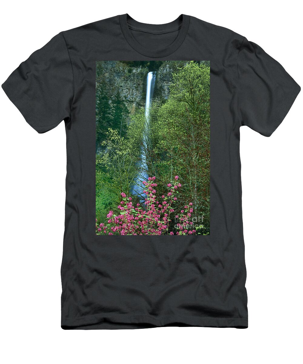 North America T-Shirt featuring the photograph Flowering Tree Below Multnomah Falls Columbia River Gorge NSA Oregon by Dave Welling