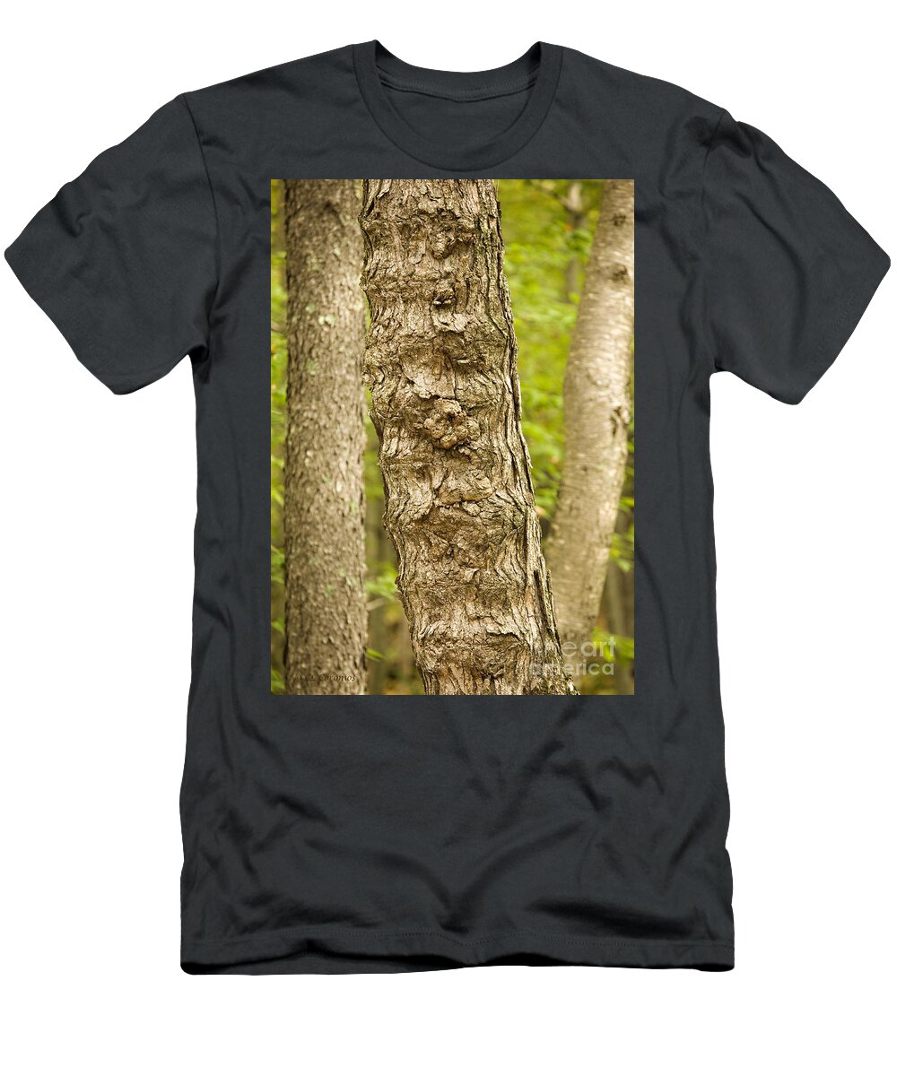 Tree T-Shirt featuring the photograph Fluted Tree by Carol Lynn Coronios