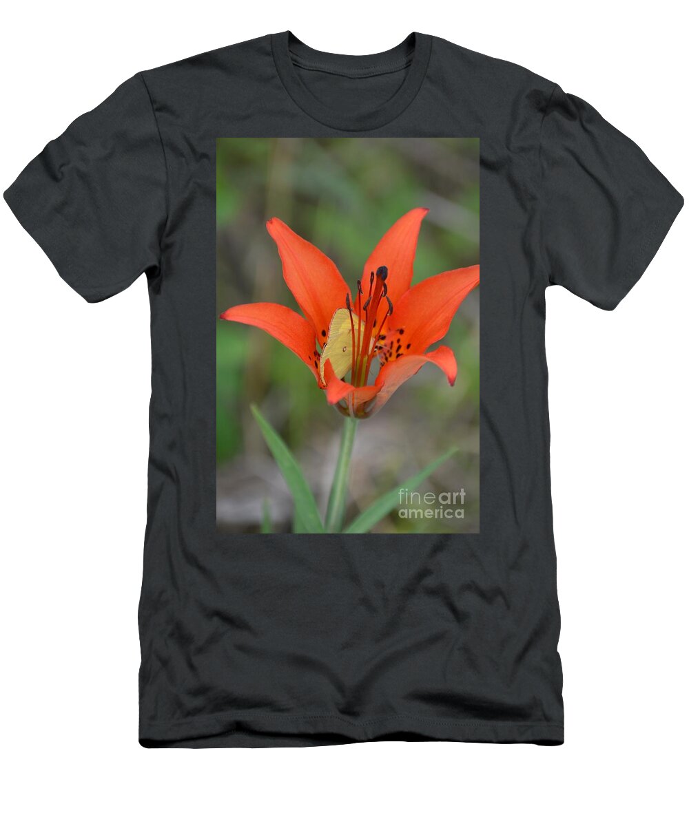 Butterfly T-Shirt featuring the photograph Flutterby Hiding Place by Lynellen Nielsen