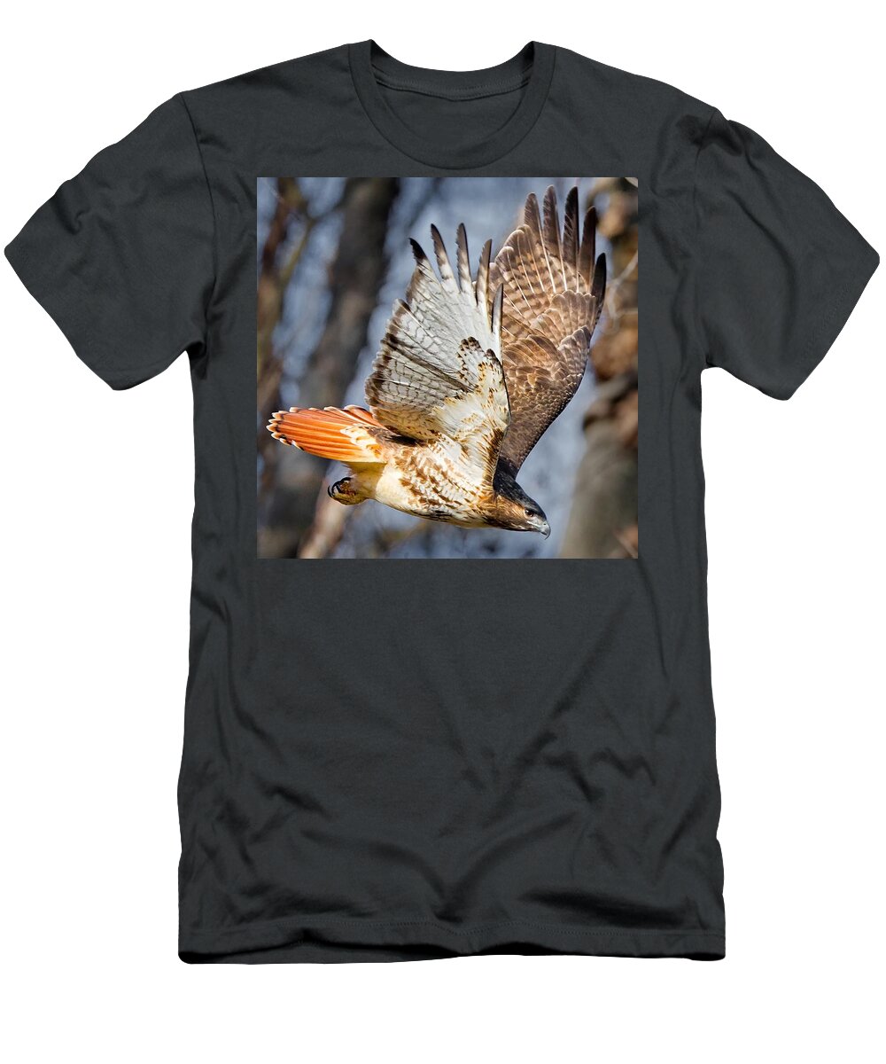 Redtail Hawk T-Shirt featuring the photograph Fly Away by Bill Wakeley
